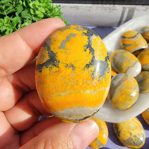 Bumblebee Jasper Palm Stones