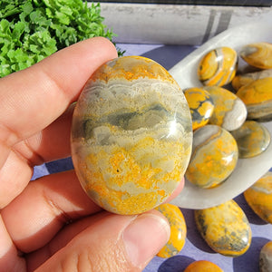 Bumblebee Jasper Palm Stones