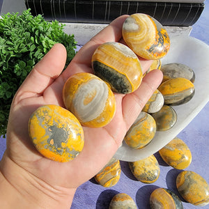 Bumblebee Jasper Palm Stones